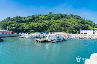 독정항