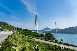 조발도