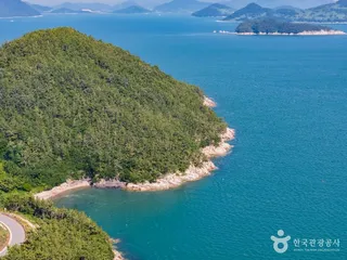 조발도