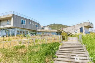유채꽃프라자