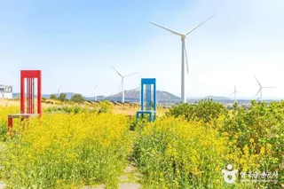 유채꽃프라자
