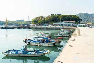 묘도선착장