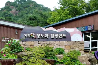 거창 항노화힐링랜드
