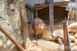 네이처파크