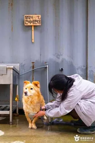 병술만어촌체험마을