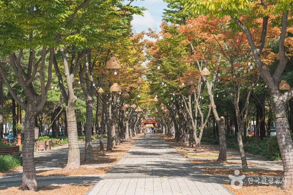 보라매공원(대전)