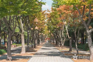 보라매공원(대전)