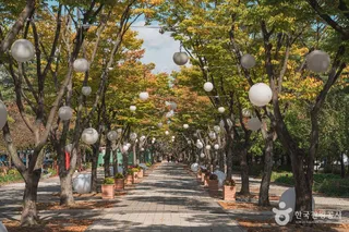 보라매공원(대전)