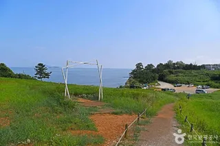 수성당 유채꽃