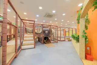 쥬라리움 동탄점
