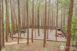 팔영산 편백 치유의 숲
