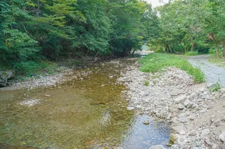 용흥사계곡