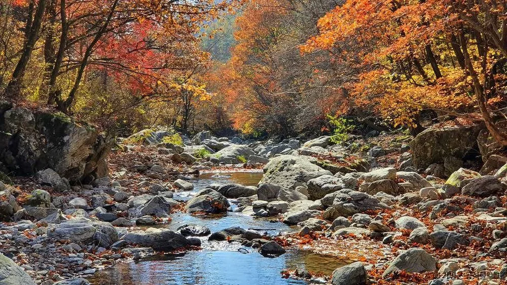 경반계곡