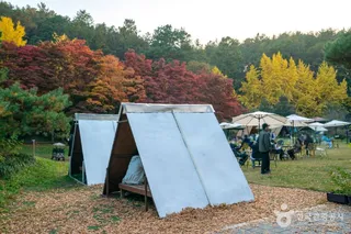 나주은행나무수목원