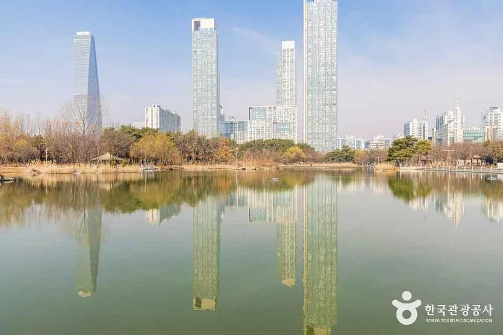 해돋이공원