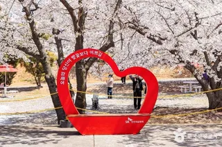 SK인천석유화학벚꽃동산