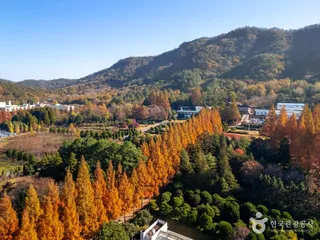 전남광주통합특별시 산림연구원
