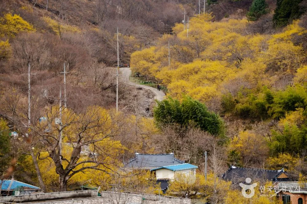 현천마을