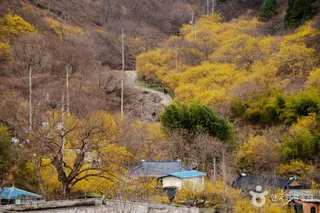 현천마을