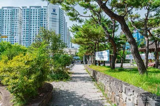 푸른길분수공원
