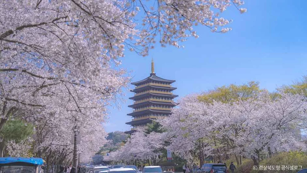 황룡원