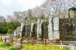 광주천 벚꽃길