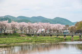 사평천