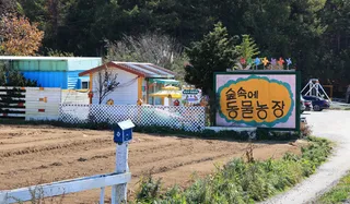 숲속에동물농장