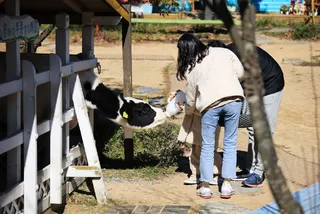 숲속에동물농장