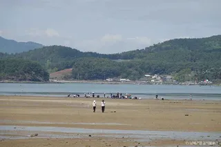 둔촌갯벌체험장