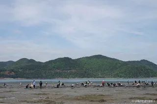 둔촌갯벌체험장