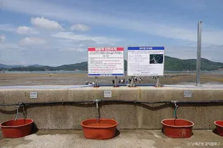 둔촌갯벌체험장
