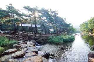 옥천계곡