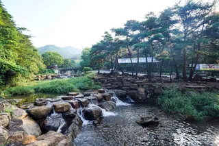 옥천계곡