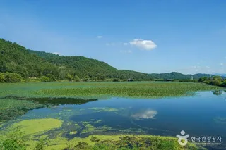 유등지