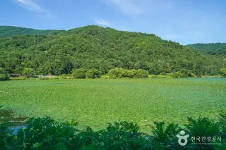유등지