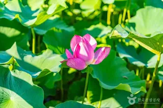 용담호자연생태습지공원