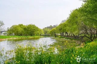 금장대 수변공원