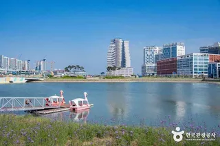 거북섬