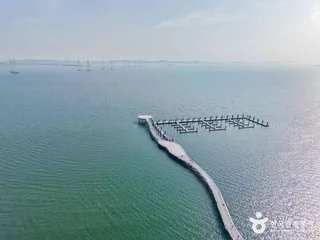 거북섬