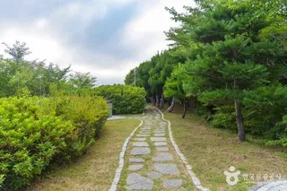 태안성당
