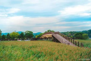 순천만탐사선