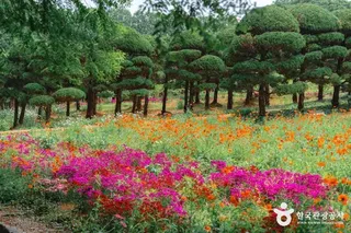 아가페정원