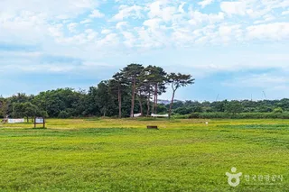 황룡친수공원