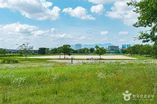 산동교친수공원