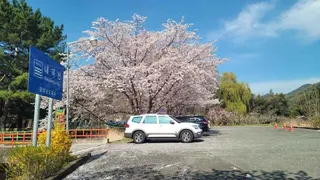 창원마법의정원