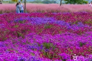 호국의병의숲친수공원