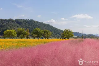 호국의병의숲친수공원