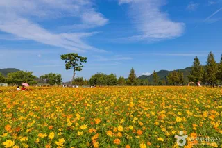 호국의병의숲친수공원