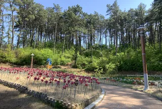 명동공원 / 명동근린공원